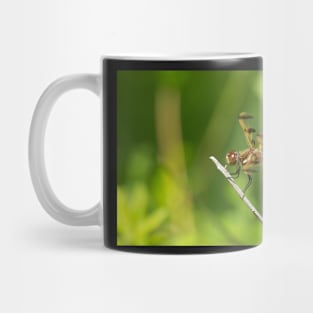 Enter The Dragon Mug